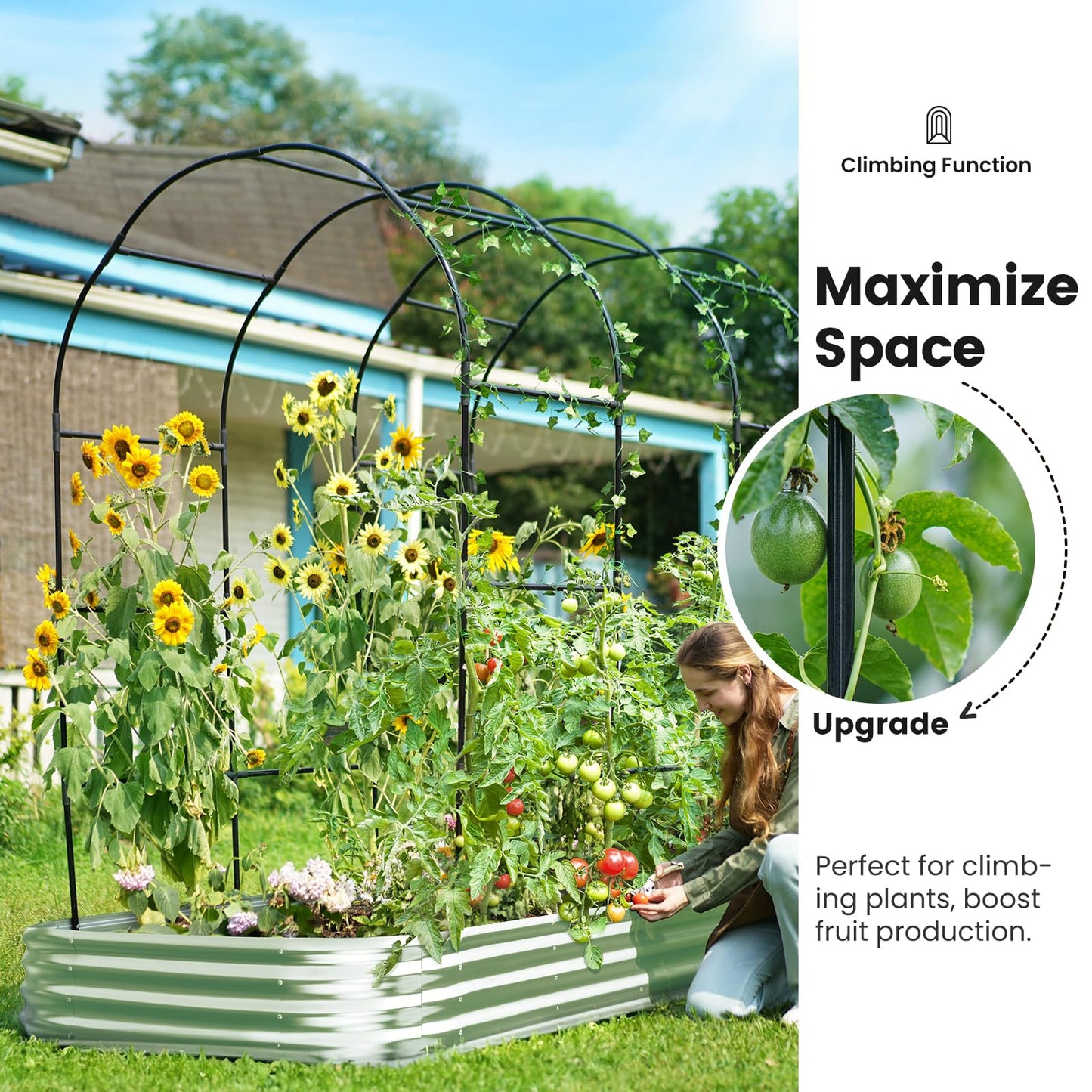 KING BIRD Raised Garden Bed with Arched Trellis Galvanized Planter Garden Box Outdoor for Gardening, Climbing Vegetables, Flowers 7.87x3.94x0.98 Ft, Silver