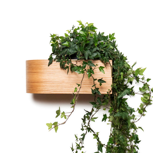 Wall Mounted Planter Indoor, Wooden Plant Shelf, Hanging Floating Display Rack for Plants, Succulents, Herbs, Curved Scandinavian Shelves (Ash)