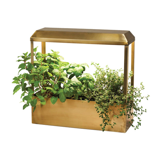 Modern Sprout Smart Growhouse LED Grow Light for Indoor Plants- Plant Grow Light Indoor Gardening System & Herb Garden Kit w/Smart App -Decor Countertop Planter for Herbs, Gift for Mother's Day- Brass
