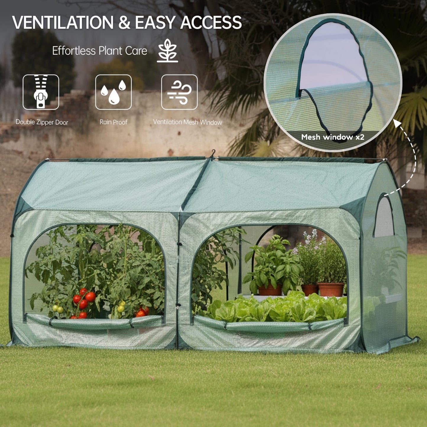 Pop up Tunnel Greenhouse Cover 78.7" L x 39.4" W Plant Tent with 6x3FT Riased Garden Bed Set ,Gardening Flower Sunshine Room with Mesh Windows,Backyard PE Cover for Cold Frost Protector