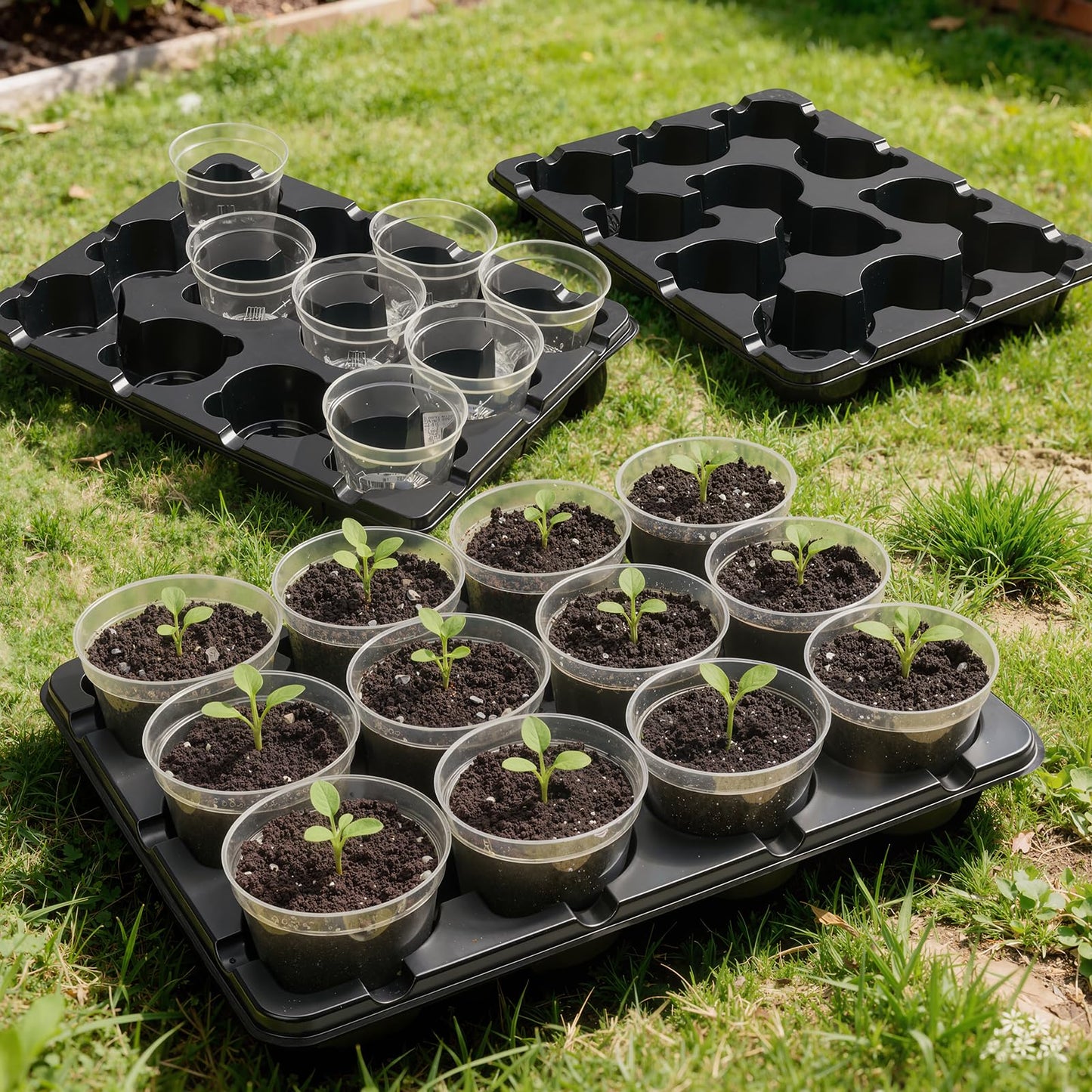 homenote 4 Inch Seed Starting Trays with Clear Nursery Pots, 5-Pack 12-Cell Seedling Starter Trays & 4" Nursery Pots 60 Pcs with Drainage, Plant Starter Germination Trays for Indoor Outdoor Growing