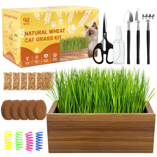 Cat Grass Kit for Indoor Cats with Wooden Planter - 5 Pack Cat Grass & 5 Coconut Soil, Complete Planting Tools, Water Sprayer, Scissors, Bonus Cat Gifts - Natural Wheat Grass for Hairball Control
