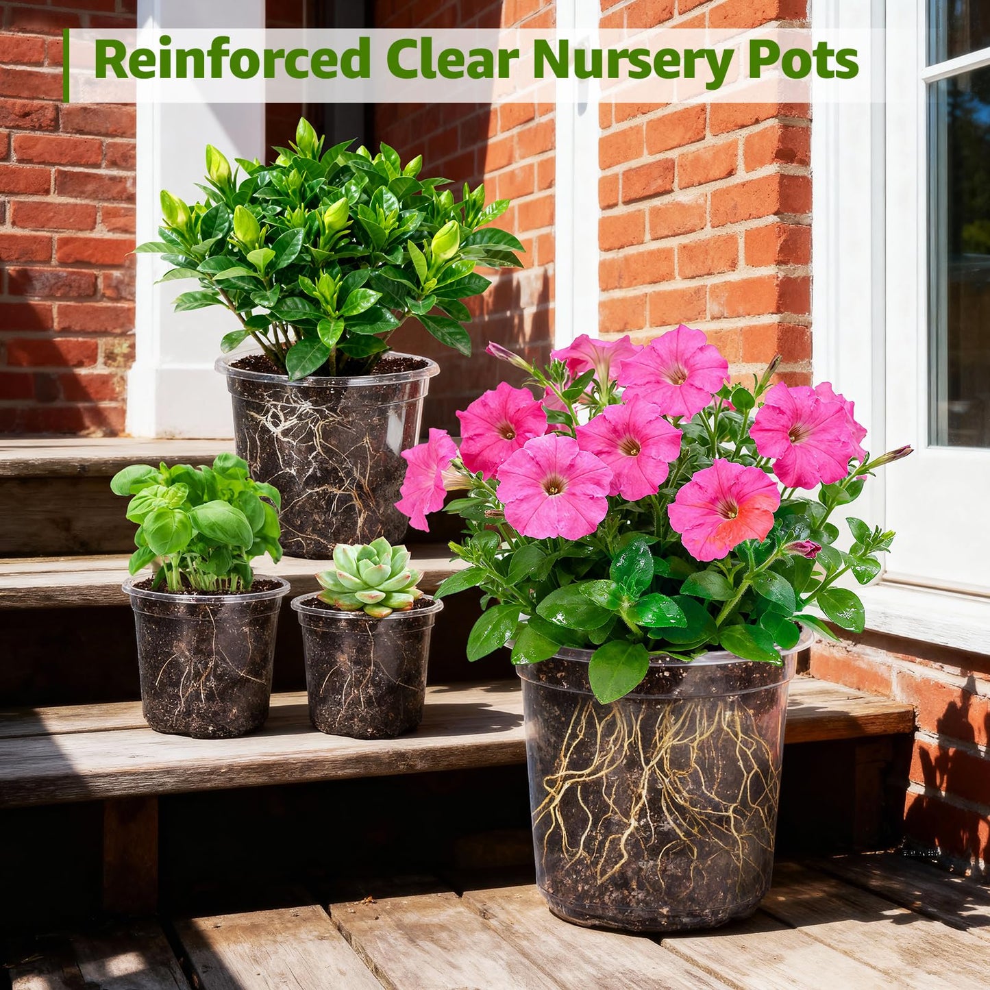 MIXC Clear Nursery Pots with Drainage Holes, 30 Pack 5/4/3.5 Inch Reinforced Transparent Plastic Seed Starter Pots, for Indoor Outdoor Gardening Seedling Planter