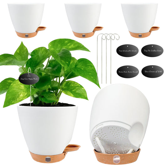 6 Inch Self Watering Pots for Indoor Plants(5-Pack) – Small Plastic Planters with Water Level Window, Drainage Holes & Detachable Trays, Indoor Outdoor Flower Pots for Herbs, Snake,Pothos(White)