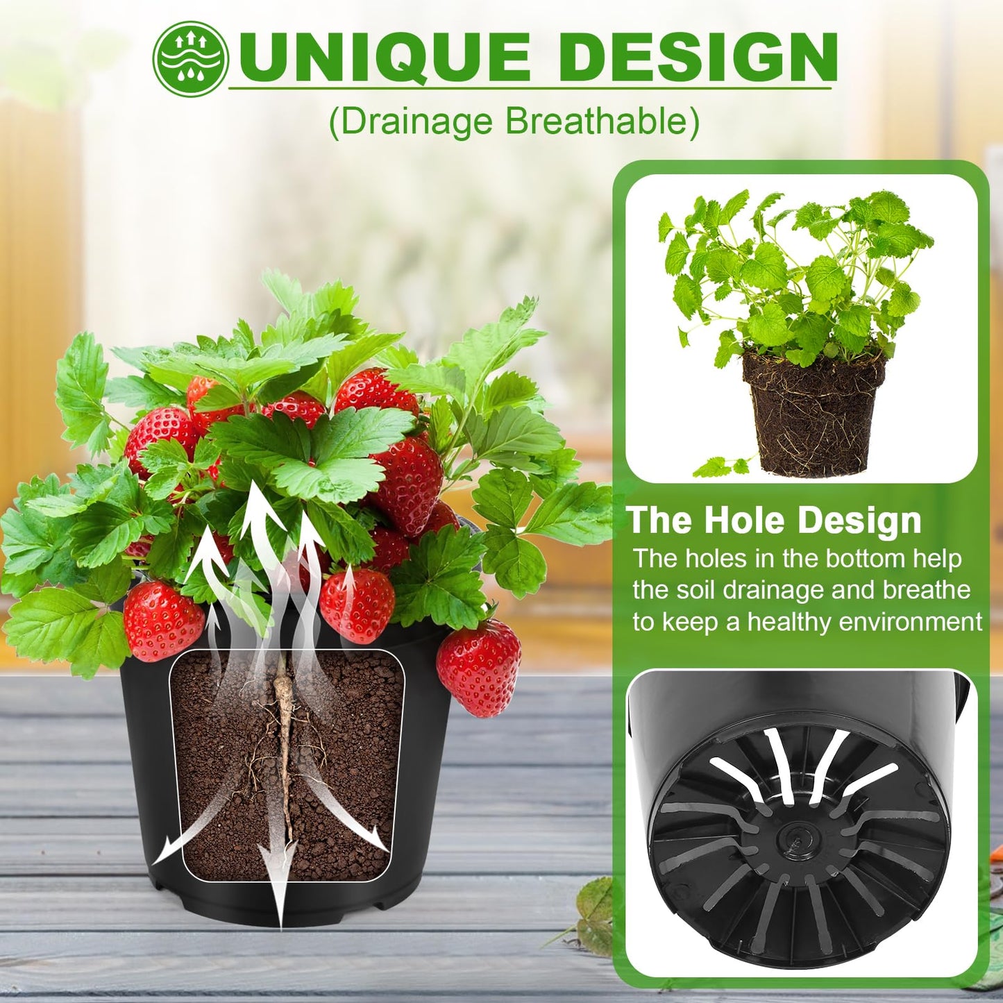 DUNPUTE 10 Pack 2 Gallon Pots for Plants, 2 Gallon Plastic Plant Pots with Drainage, Sturdy Plastic Pots for Plants, Flowers, Succulent Outdoor Indoor