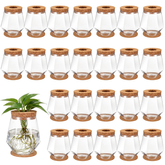 Baderke 24 Packs Plastic Desktop Plant Terrariums Propagation Planter Tabletop Planting Vase with Lid and Cork Plant Coasters for Growing Hydroponic Home Office Table Decoration (Diamond Style)