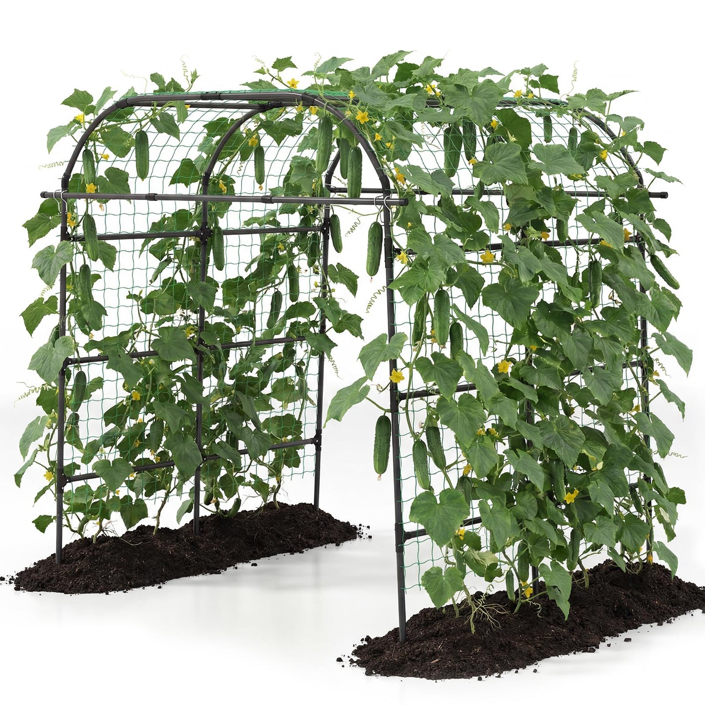 Happygrill Metal Garden Arch Trellis for Climbing Plants, 8 FT Extra Wide U-Shape Cucumber Trellis for Raised Bed, Heavy-Duty Metal Plant Support for Vegetables Flowers Grape Vines