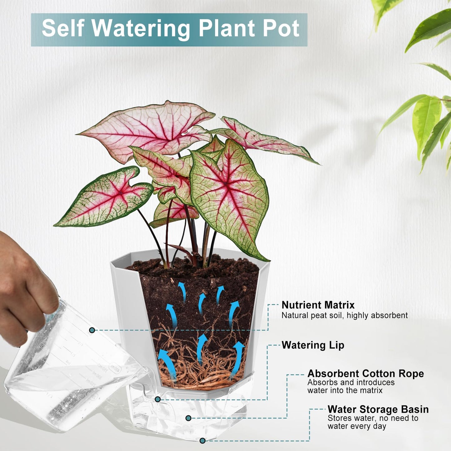 Samhe 3 Pack Self Watering Planter Pots, 4.9 Inch African Violet Pots for Indoor Outdoor Windowsill Gardens, Plant Pot with Wick Rope and Reservoir
