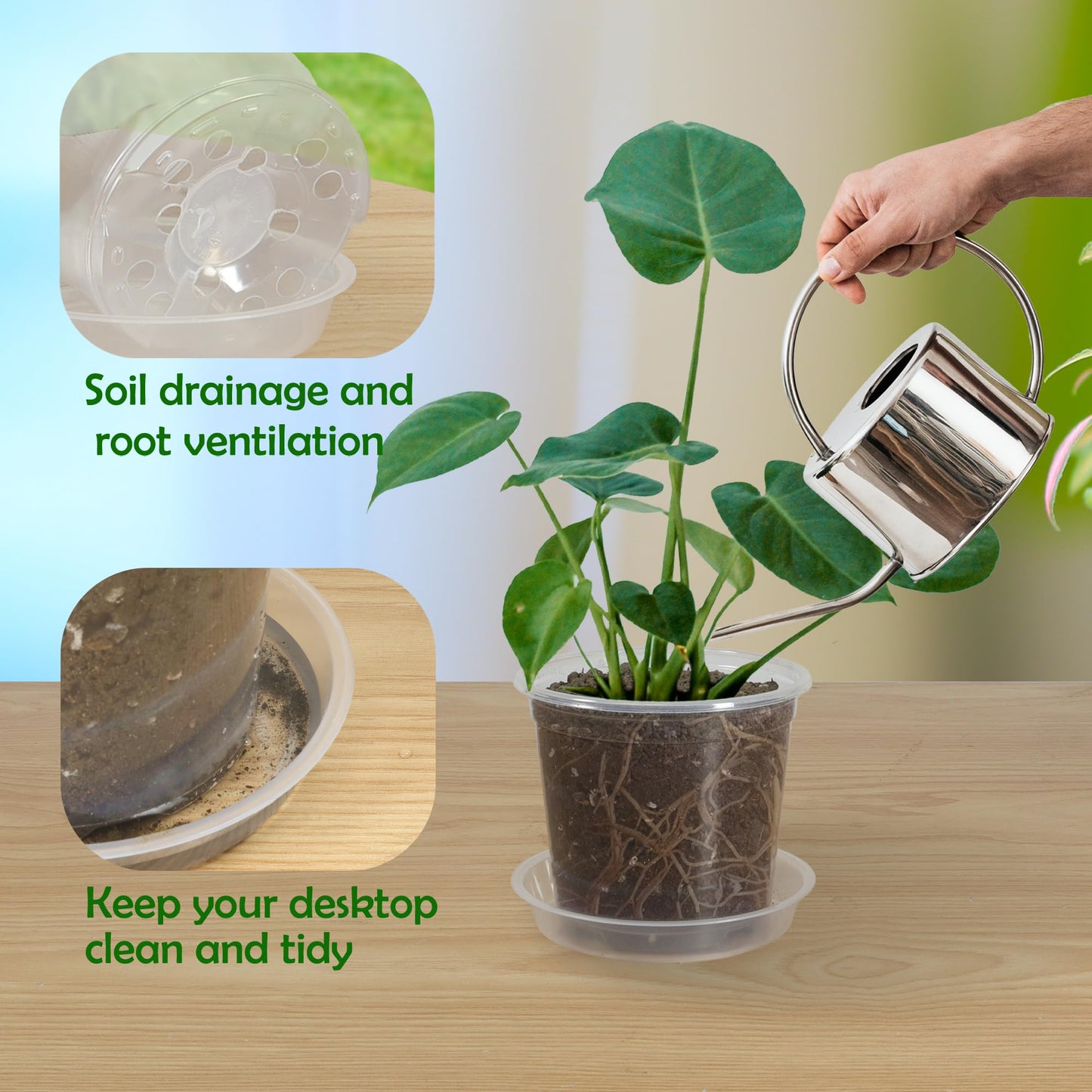 TNTIWQ 20 Pack 3 Inch Clear Nursery Pots with Drainage and 20 Pack Plant Saucers, Plant Pots for Plants Transparent Potting Containers for Plants Seeding Starter Pot (Clear, 3 Inch)