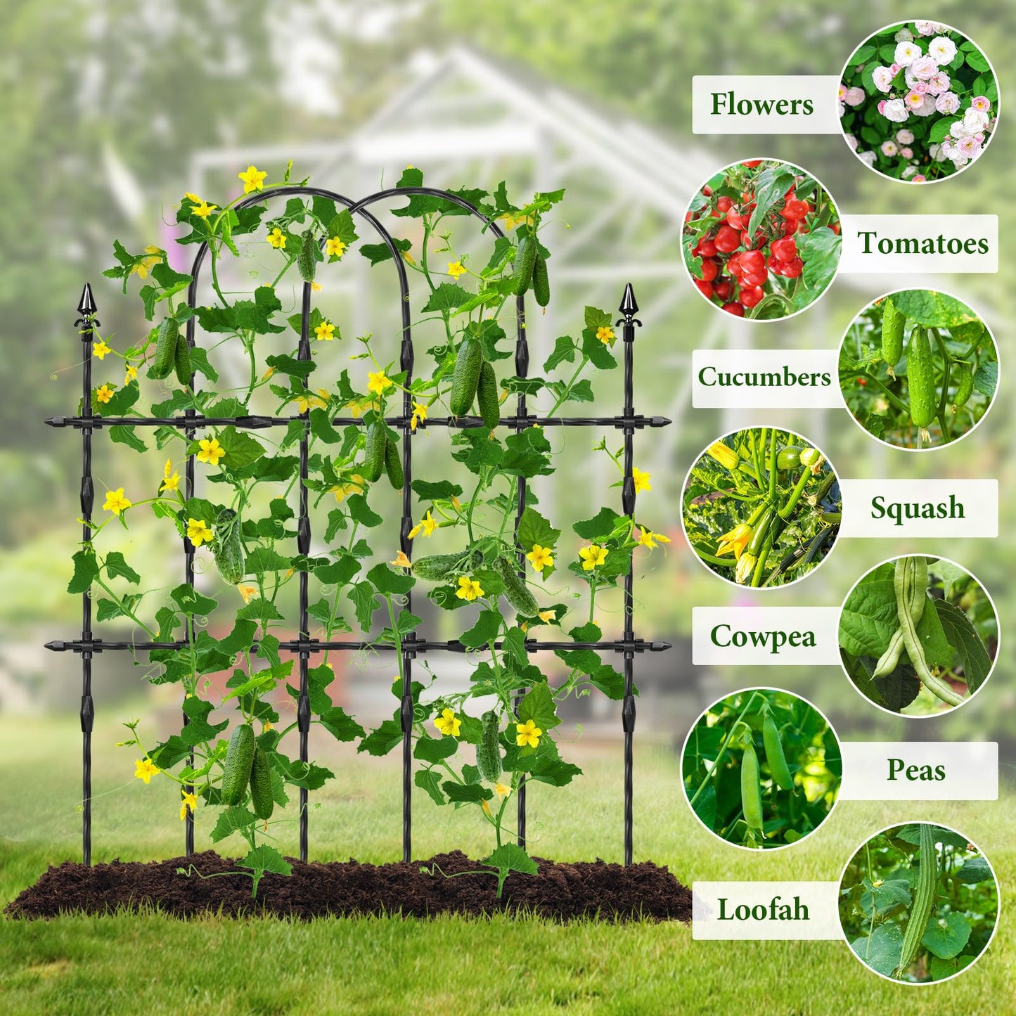 2026 New Upgraded Garden Trellis Set for Outdoor Climbing Plants, 47.2“ H x 39.6” W Rustproof & Reinforced Garden Arch Trellis for Potted Climbing Cucumbers, Tomatoes, Vegetables, Roses, Flowers