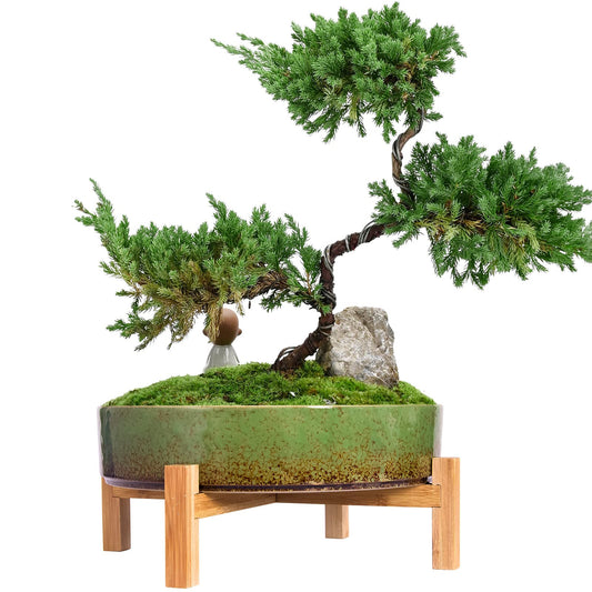 ARTKETTY Succulent Planters - 11 Inch Large Succulent Pots with Drainage, Ceramic Bonsai Pots with Bamboo Stand Shallow Planters for Indoor/Outdoor Plants Modern Cactus Flower Planter Bowl (Green)