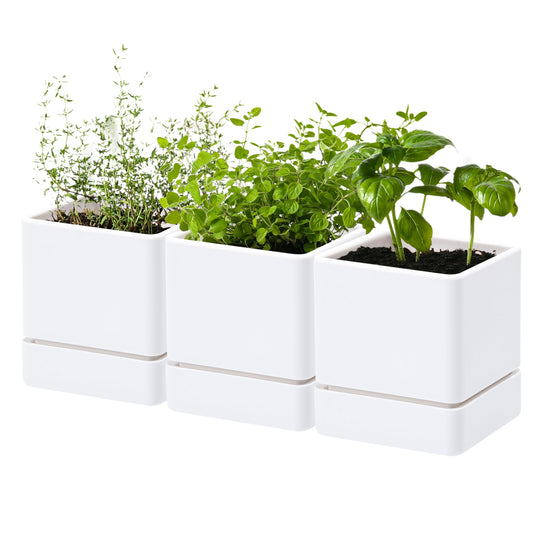 D'vine Dev 4 Inch Herb Planter Pot, Plastic Planter with Drainage Holes and Saucer, Modern Decorative Gardening Pot for Indoor Plants, Flowers, Herbs, Succulents, White, Set of 3, 76-Y-A3-1