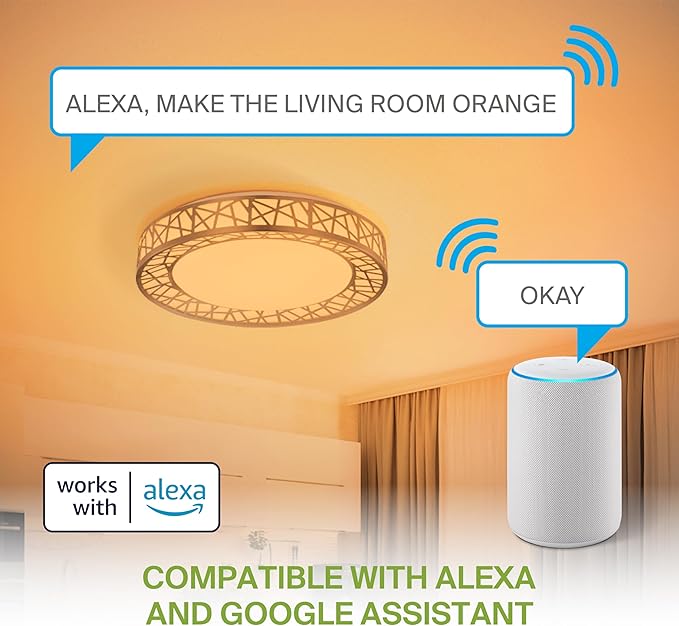ASD 12 Inch Smart RGBW Flush Mount Ceiling Light with Remote - Brushed Nickel 20W 120V 2700-6500K Dimmable Ceiling Light Fixture, WiFi App Control RGB Lights, Alexa & Google Assistant - ETL