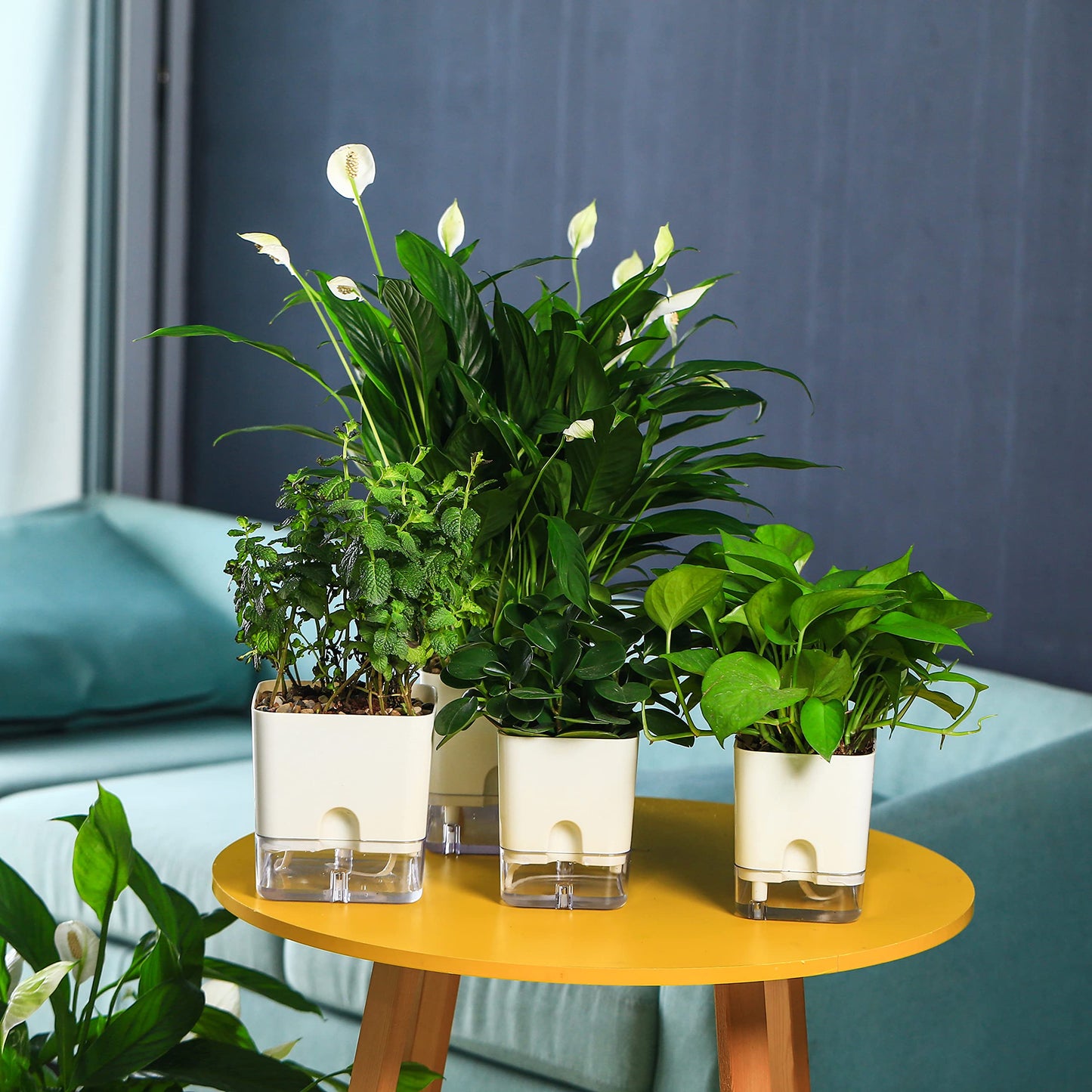 Planterhoma Self Watering Plant Pots for Indoor Plants 5.5 inch, 3 Packs Square Self-Watering Planters with Drainage Hole, White African Violet Pots for Devil's Ivy, Spider Plant, Orchid, Herb