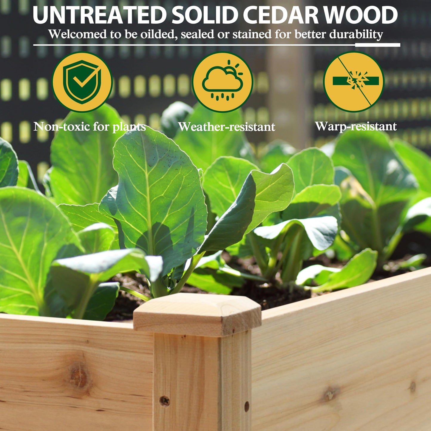 BlueWish 48"W x 24"D x 30"H Raised Garden Bed, Cedar Garden Bed with Detachable Black Liner, Drainage Holes, Raised Garden Beds Outdoor 330 lbs Capacity, Raised Beds for Gardening, Vegetable, Flower