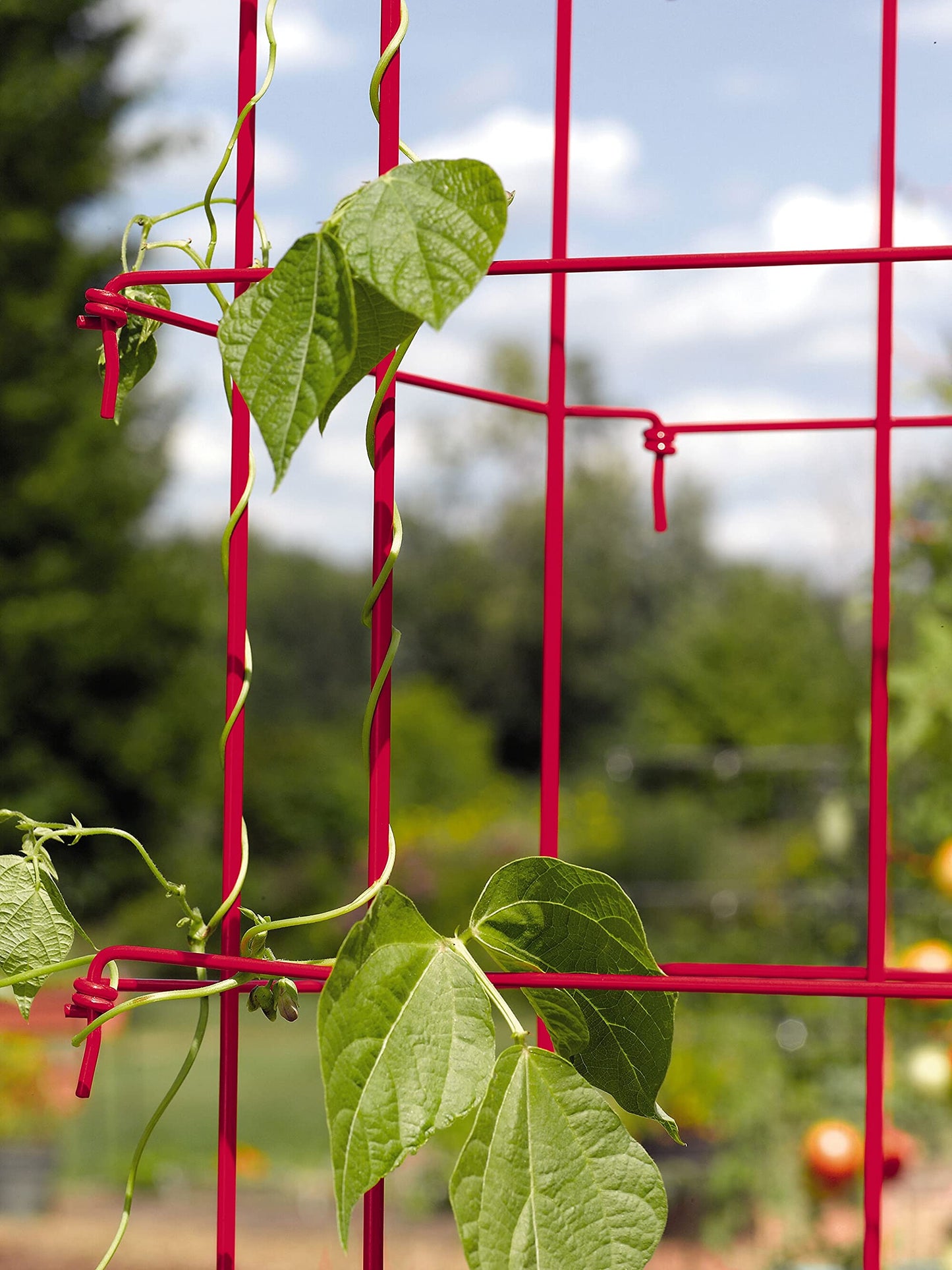 Gardeners Supply Company Large Bean Tower Plant Support | Sturdy Weatherproof Outdoor Beans, Peas & Other Climbing Vegetable Garden Plants Stake | Best for Small Space Garden - 75" H - Red