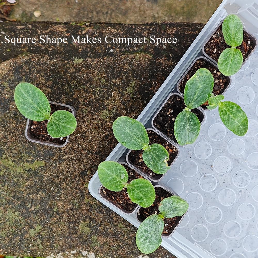 BangQiao 180 Pack 1.95 Inch Tiny Gray Plastic Square Nursery and Seedling Pot, Mini Deep Transplant Seed Starter Planter with Drain Hole for Germination, Herb, Succulent