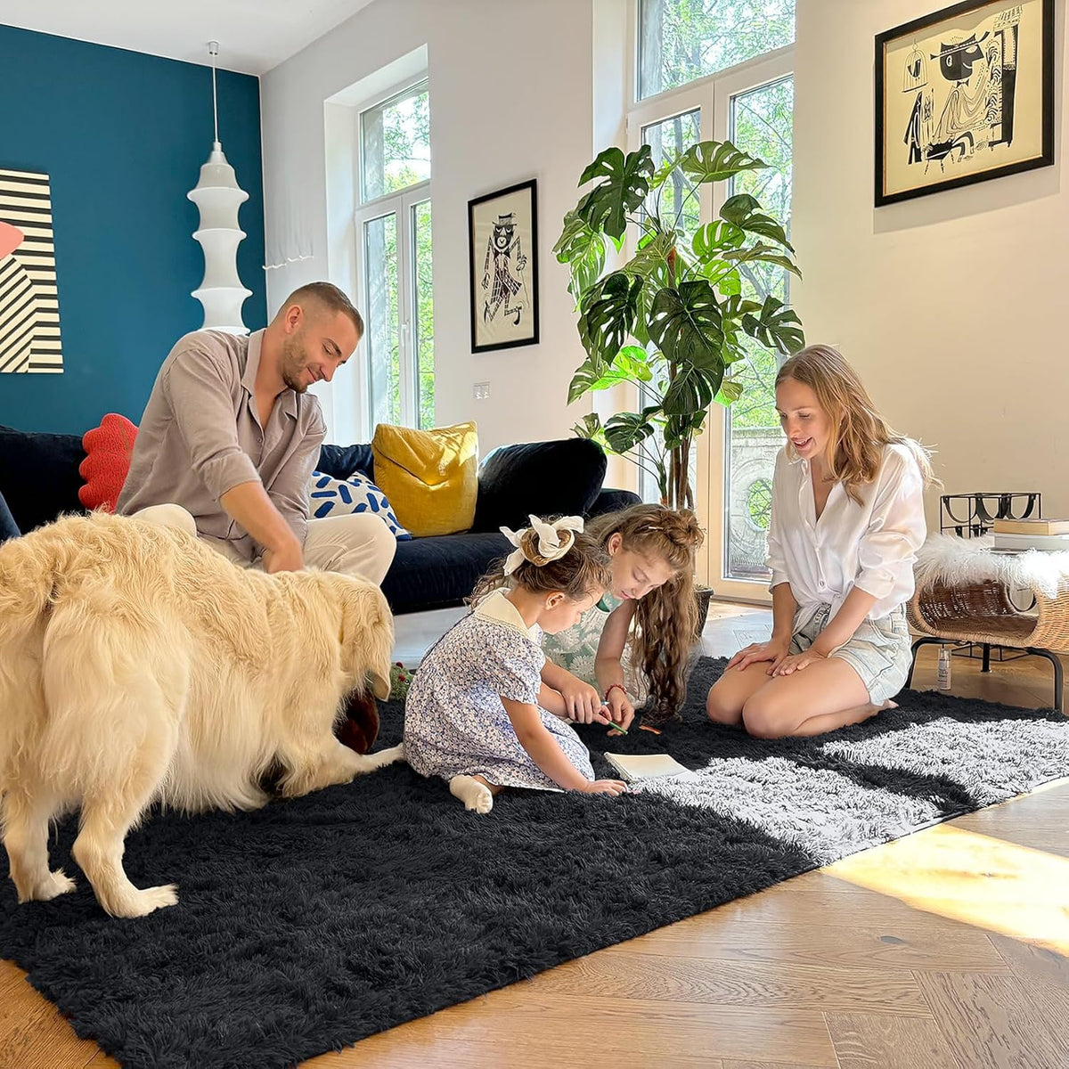 OLANLY Large Area Rug - Soft Fluffy Shaggy Carpet for Living Room & Bedroom | 5x9 ft, Black