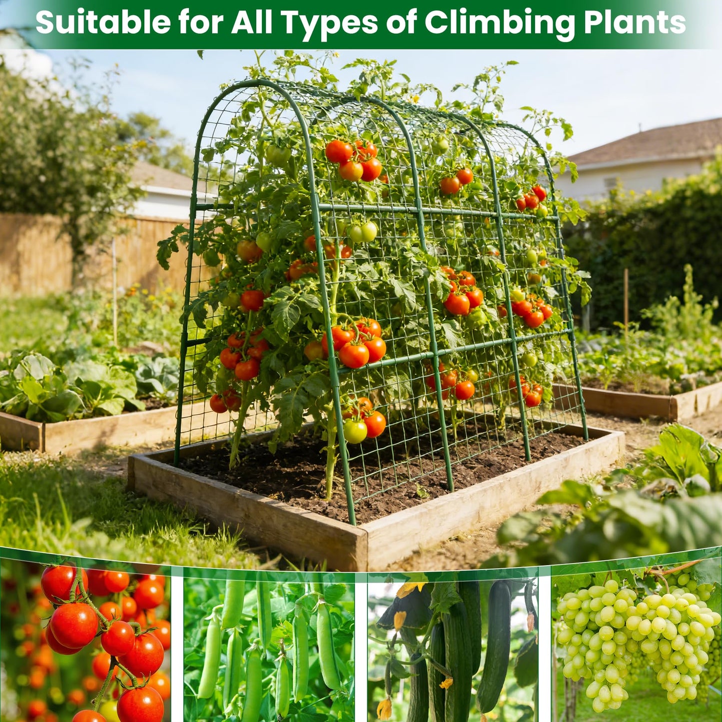 Cucumber Trellis for Raised Bed 64" L x 48" H, U-Shape Garden Trellis for Climbing Plants Outdoor, Metal Arch Trellis for Vegetables, Plant Support for Tomato Pea Zucchini Grape Flowers