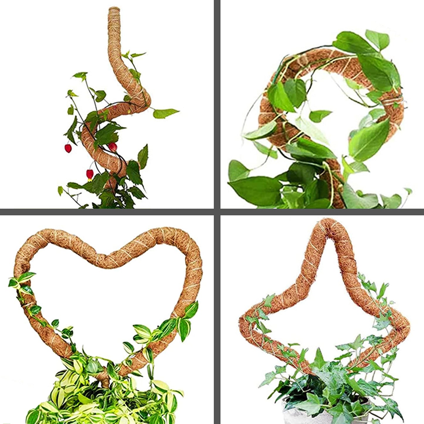 Moss Pole Set, Bendable Moss Pole for Plants Monstera, Tall Moss Poles for Climbing Plants Indoor, Large Handmade Coco Coir Plant Pole Sticks Support Stakes for Potted Plants, Pothos