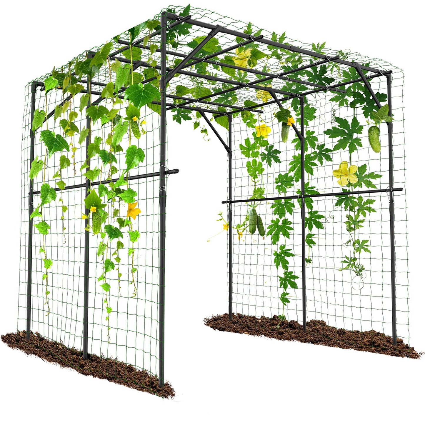 Tall Garden Arch Trellis for Climbing Plants, 79in Tall Metal Plant Support Trellis Archway for Climbing Plant Vegetables Cucumber, Outdoor Yard Lawn Garden Arch Tunnel Trellis