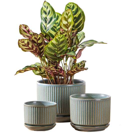 SURE YUESI Green Ceramic Plant Pots Set of 3 (4.3”+5.5”+6.7”), Indoor Striped Planters with Drainage Hole, Mesh Pads, Decorative Pots for Plants & Gardening