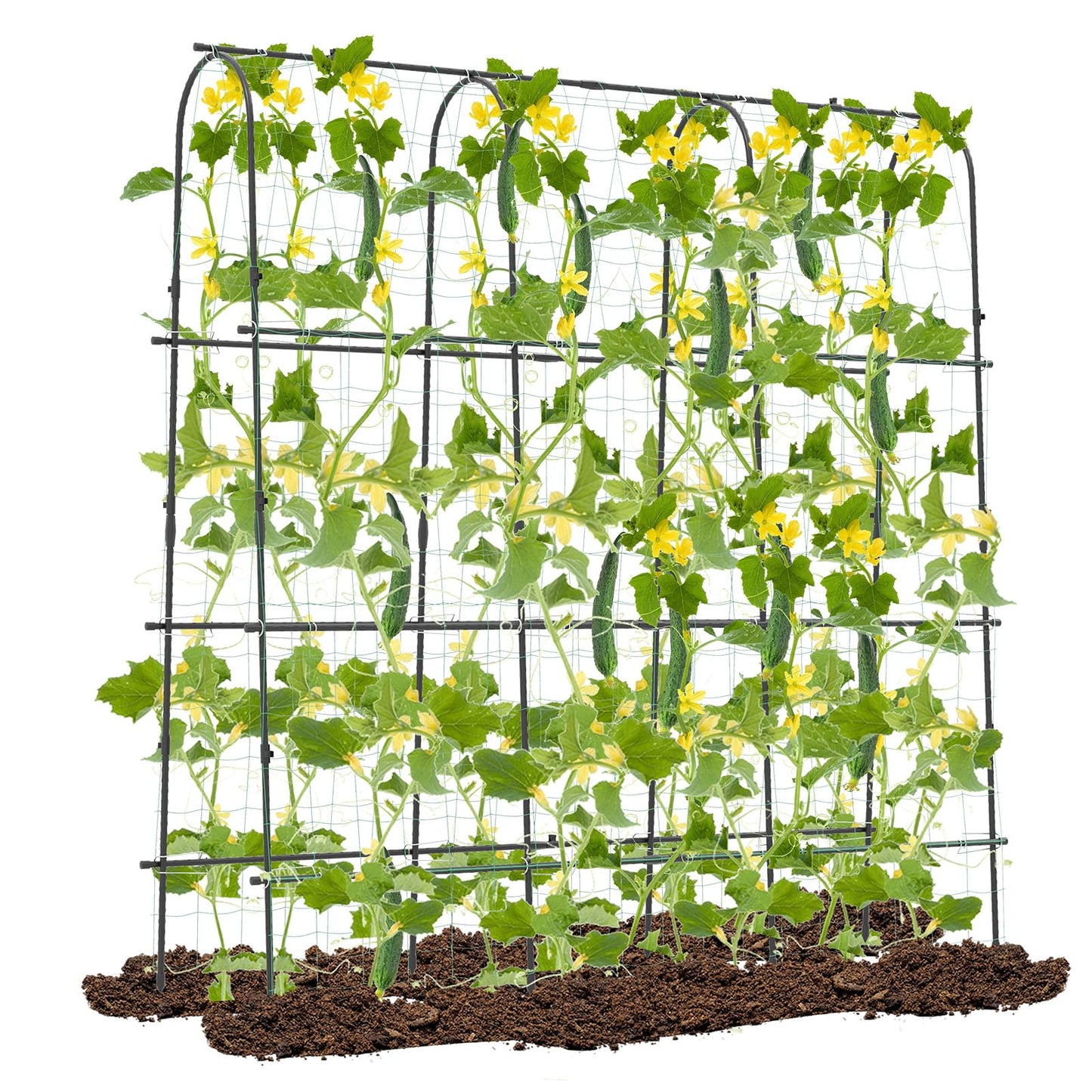 Toolsempire 71" x 71" Cucumber Trellis for Raised Bed, Garden Arch Trellis Metal Plant Support Frame with Netting, Sure-Clips & Ground Stakes, U-Shaped Garden Trellis for Climbing Plants Outdoor