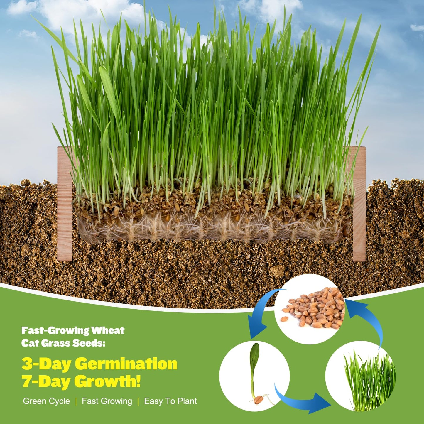 Cat Grass Kit for Indoor Cats - 3 Pack with Cat Grass Seeds, Nutrient Soil & Planter Pots | Complete Growing Set for Fresh Pet Grass (Non-GMO Wheat Grass)