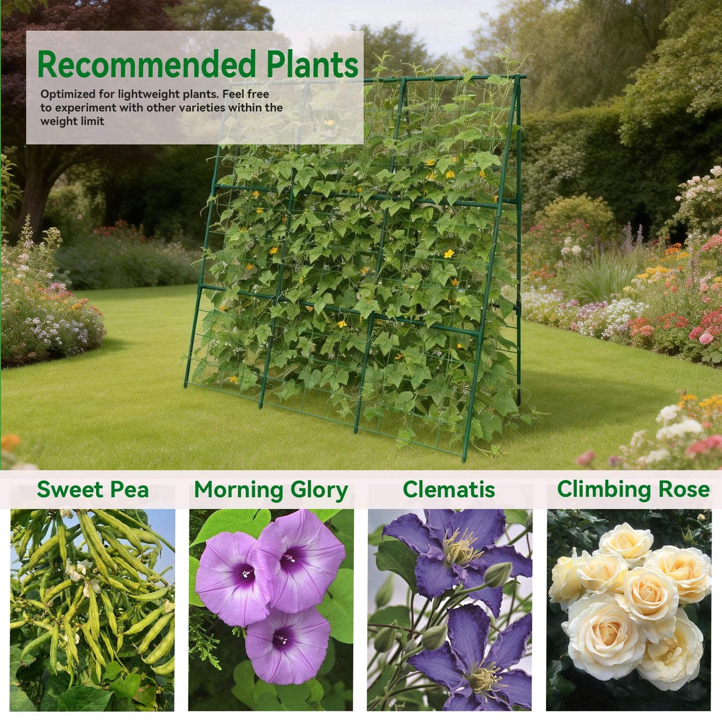 Trellume Cucumber Trellis - 49.4"*49.4" Metal Garden Trellis for Climbing Plants, Garden Trellis with Plastic-Coated Steel Pipe, A Frame Trellis for Cucumbers, Peas, Morning Glories(Green)