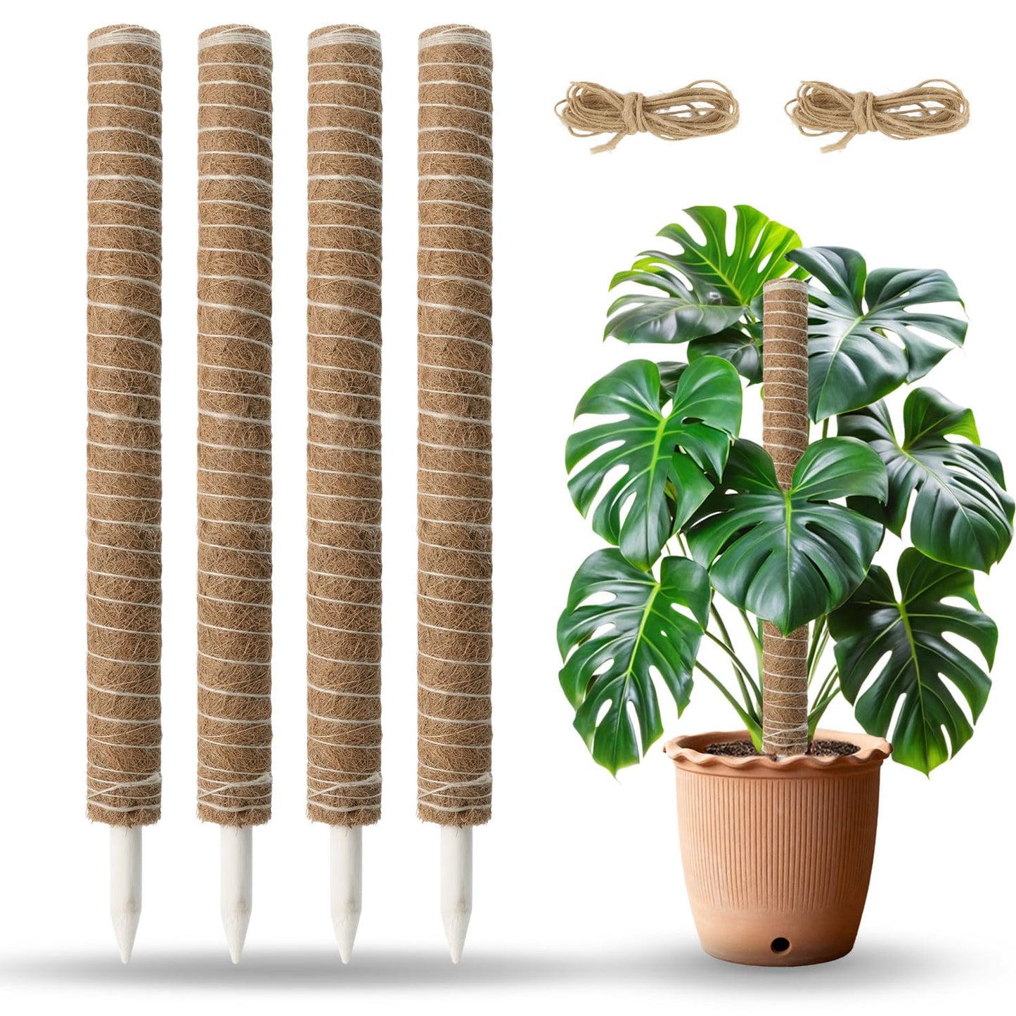 Mcbazel 4 Pack 23.5 Inch Moss Poles, Monstera Plant Support, Stackable Moss Pole for Indoor Plants, Coco Coir Totem for Climbing Plant, Potted, Sphagnum