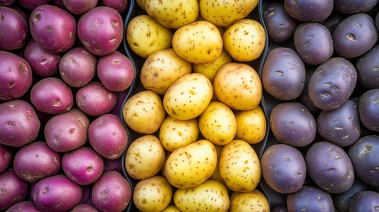 Seed Potatos Grow Pack - 3 Types, Yukon Gold, Red Pontiac, Purple Majesty - Pick the Weight You Want- Get All 3 Types (6 Pounds - 2 Pounds of Each Type) Easy to Grow, Great Flavor