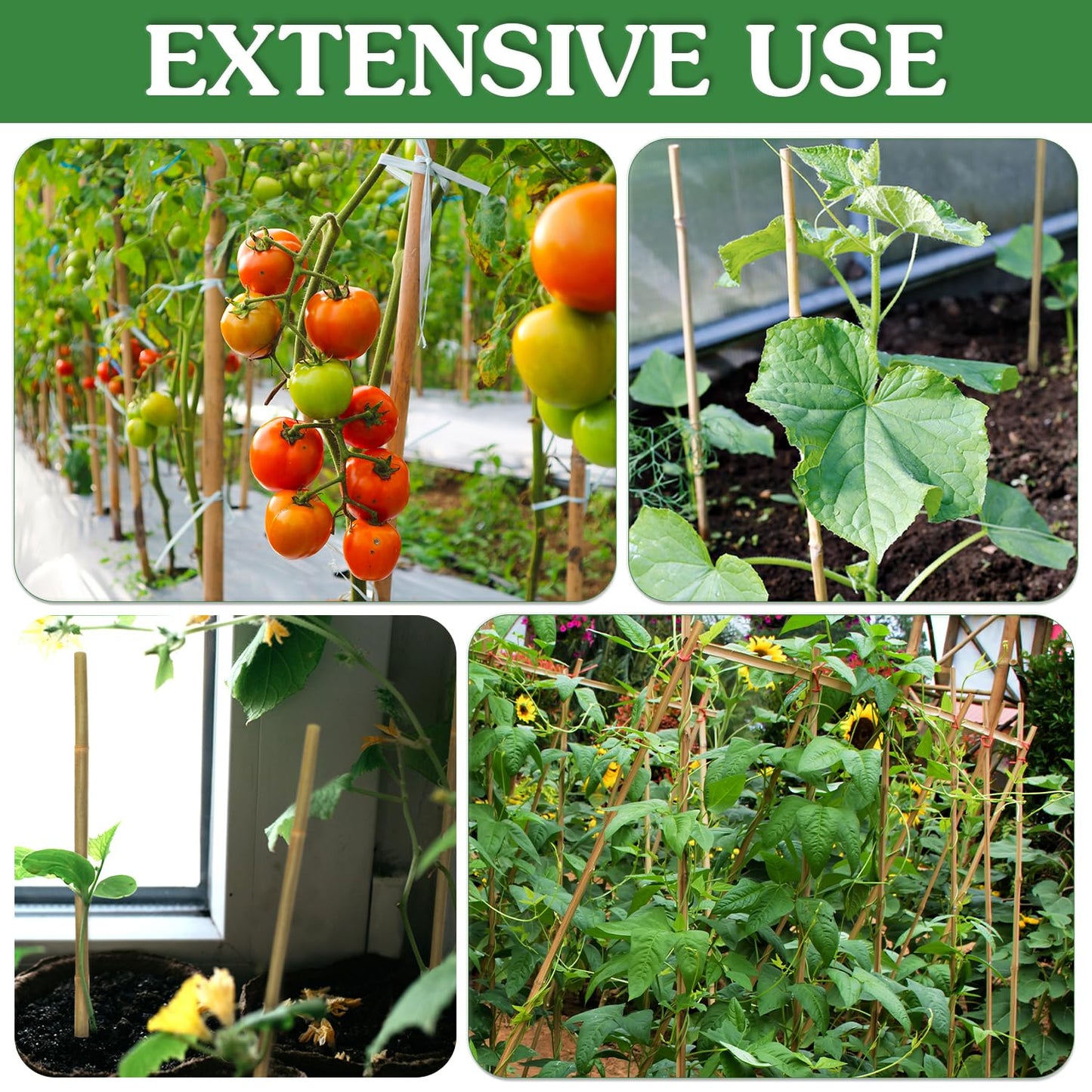 Plant Stakes,25Pcs Bamboo Stakes,4 FT Natural Bamboo Plant Support Stakes,Bamboo Stakes for Indoor and Outdoor Plants Tomatoes Beans Flowers Potted Plants Climbing Support