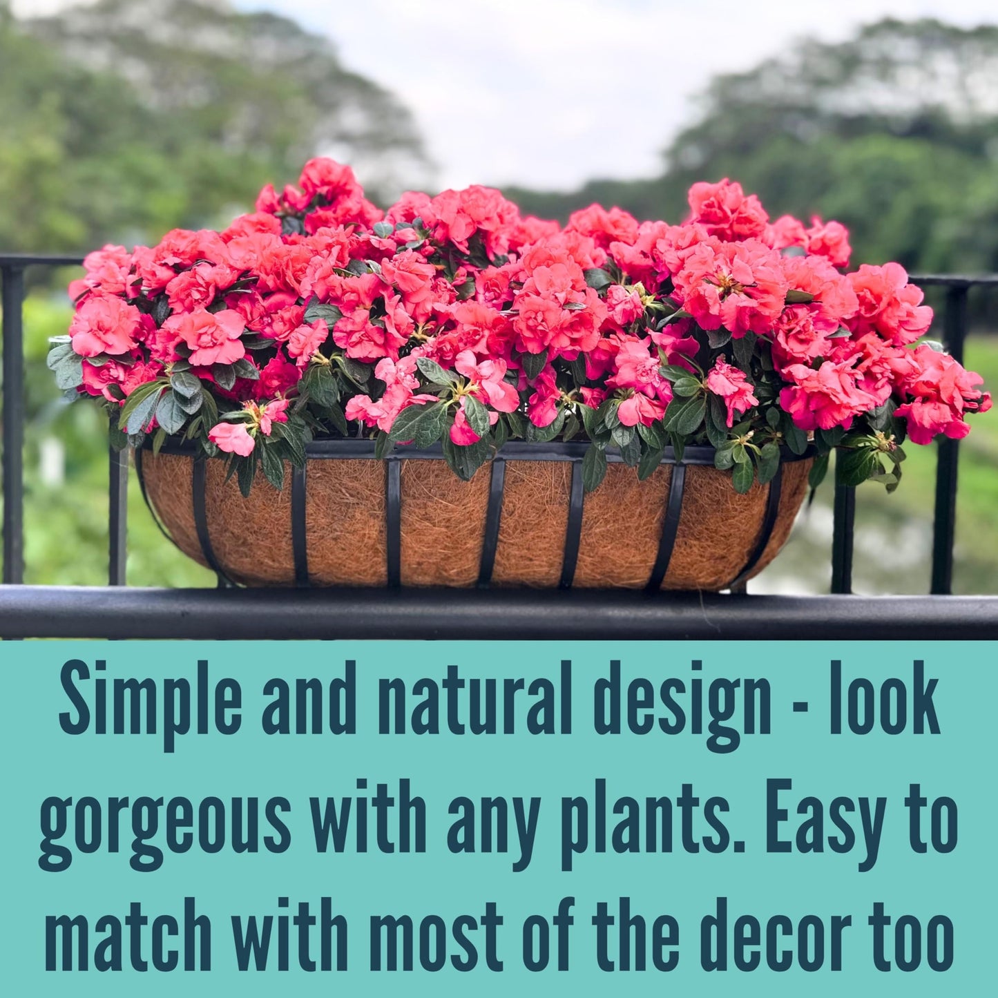 LaLaGreen Deck Railing Planter Boxes for Plants (24 Inch, 6 Pack) Metal Wall Planters for Outdoor Plants, Black Window Flower Boxes Deck Railings with Coco Liner Fence Balcony Patio Porch Over Rail