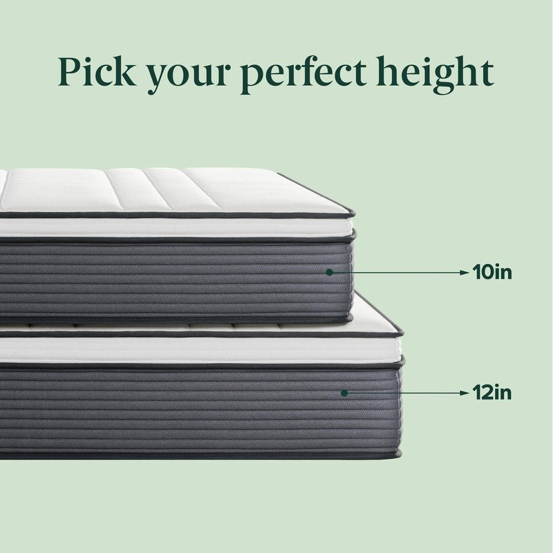 ZINUS 10 Inch True Support Hybrid Mattress [New Version], Queen, Fiberglass Free, Medium Feel, Motion Isolation, Certified Safe Foams & Fabric, Mattress in A Box