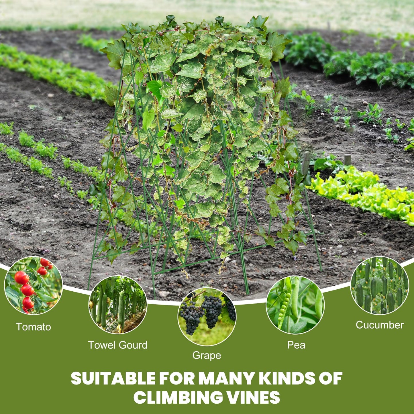 UrGROWA Cucumber Trellis 2 Pack, Foldable A-Frame Garden Trellis for Raised Bed Garden Grow Support with Plant Support Clips, Twist Ties, Plastic Ties, for Cucumber,Tomato, Climbing Plants and Flowers