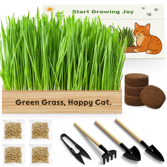 LUOJIBIE Cat Grass Kit for Indoor Cats, Cat Grass Seeds Set, Non-GMO Wheat Grass, Mother' s Day Gifts for Mom, Unique Christmas Birthday Gifts for Women Men Girl, House Warming Gifts for Cat Lover