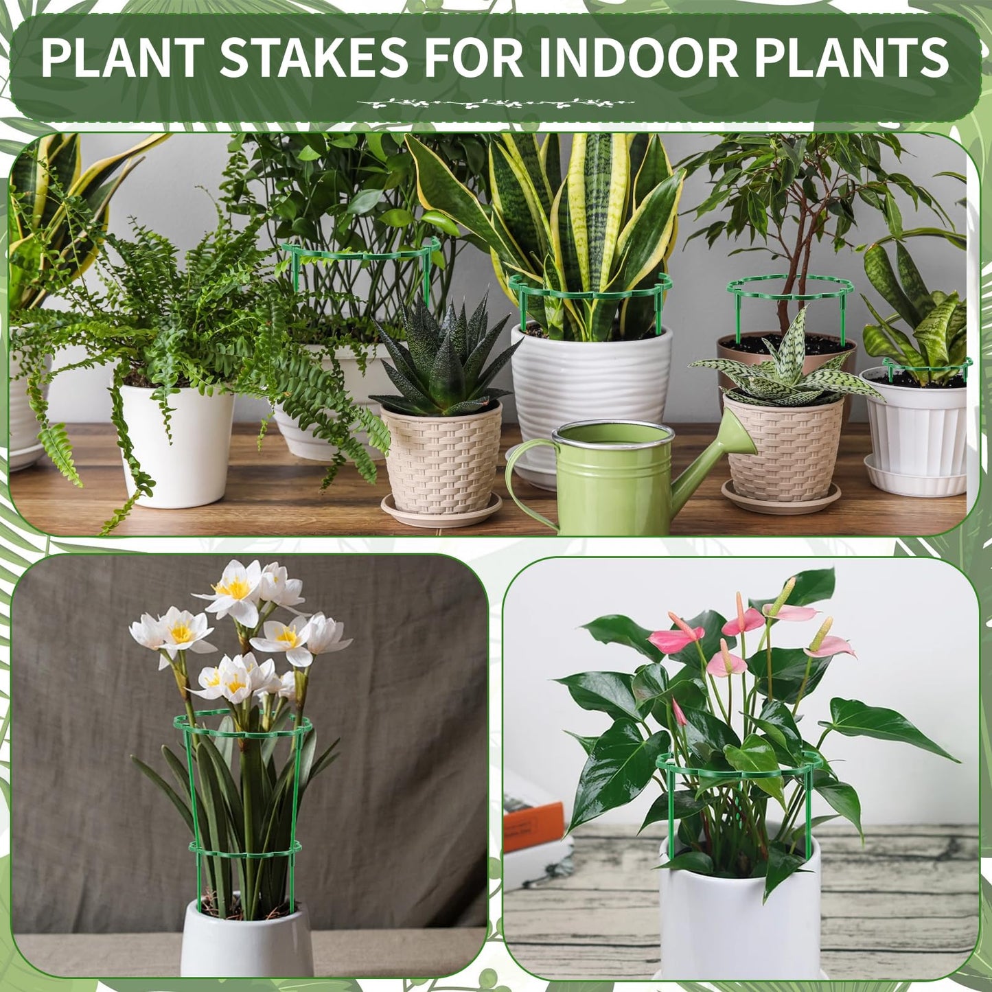 Moiggonoy 24 Pack Plant Support Stakes Sets - Versatile Plant Cages, Stackable Garden Flower Support， Small Plant Stakes for Indoor Plants,Tomato,Monstera, Peony, Hydrangea, Climbing Plants