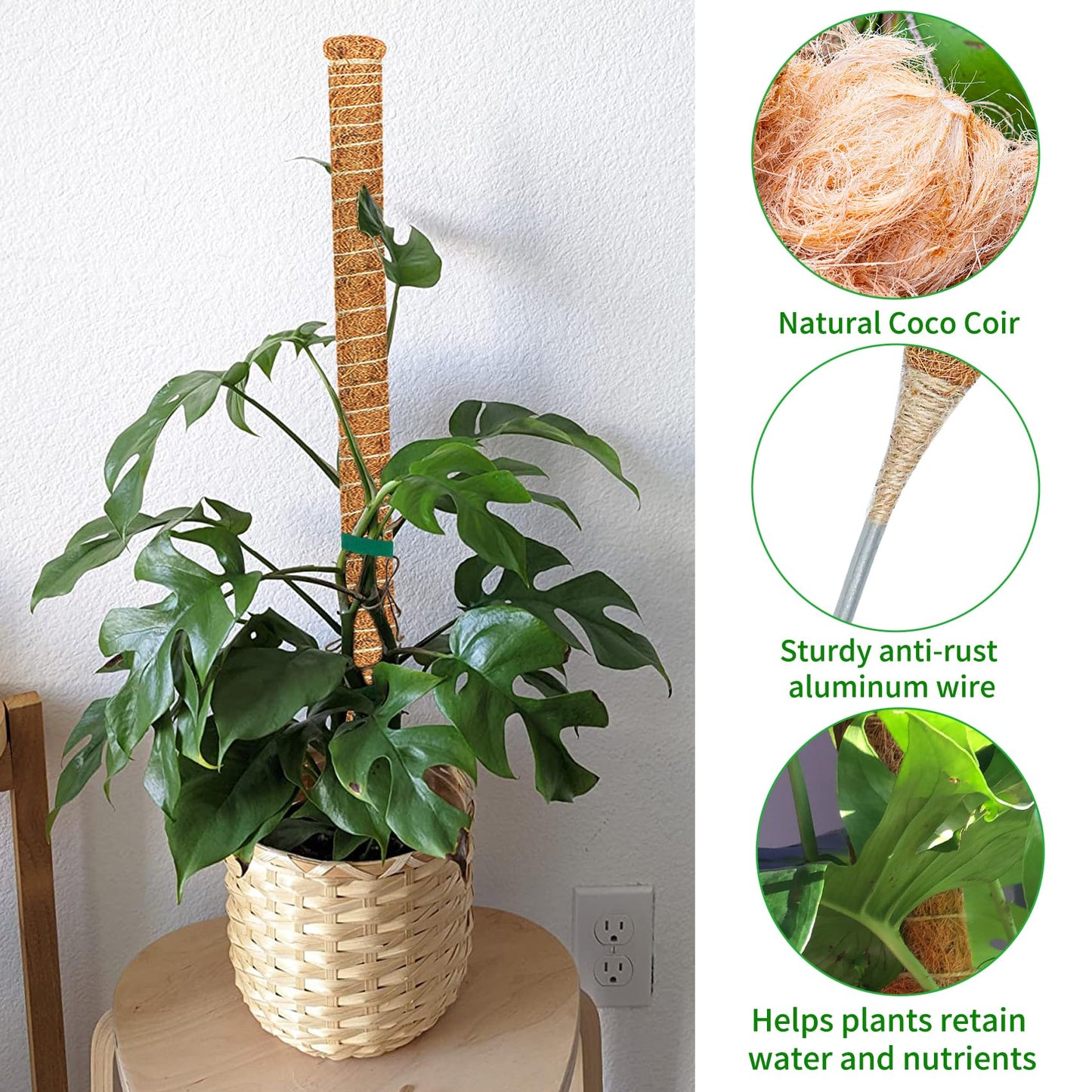 Dimpoo 2 Pack Moss Pole, 63-Inch Moss Poles for Plants Monstera,Bendable Plant Support Stakes for Climbing Plants Indoor, Garden Trellis Plant Stick for Potted Plants, Pothos Philodendron