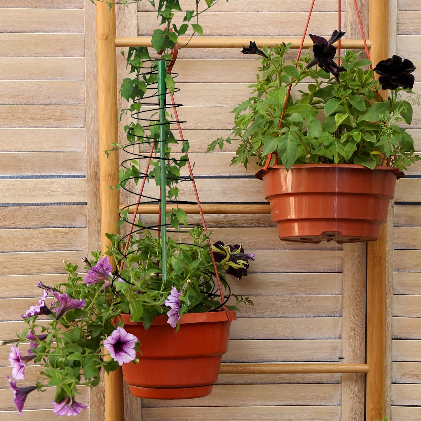3 Pack 53.6" Spiral Plant Support Stakes, Adjustable Metal Pea Trellis for Climbing Plants, Garden Support Rings with 9 Extension Rods & 9 Ground Stakes for Potted Plants, Vegetables, Flowers,Peas