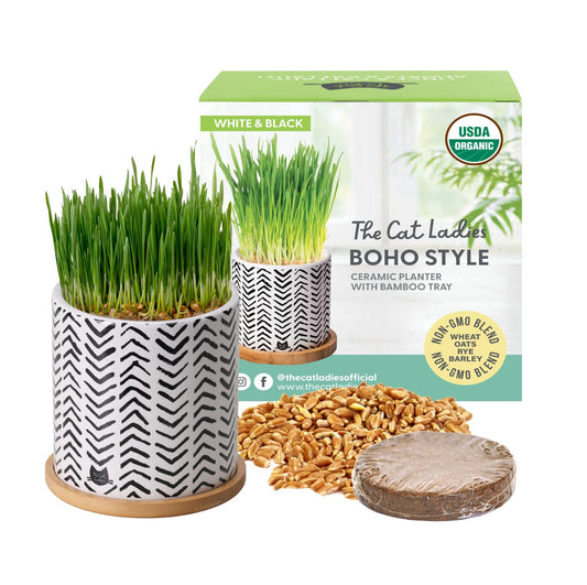 The Cat Ladies Organic Cat Grass for Indoor Cats - Growing Kit with Organic Seed Mix, Soil and Boho Planter with Bamboo Tray. Natural Hairball Control and Digestion Remedy, Cat Gifts