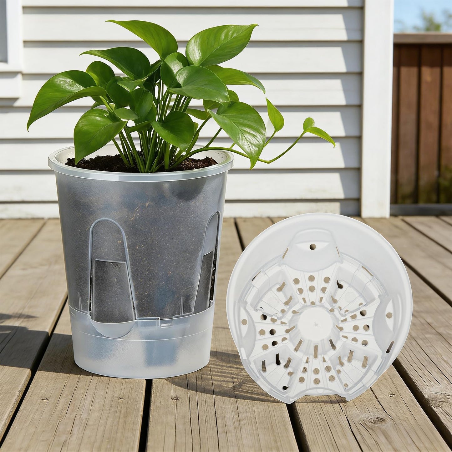 IWNTWY Plant Pots 6 inch Set of 5, Self Watering Pots for Indoor Outdoor, Upgraded Water Inlet Self Watering Planters Flower Pots with Drainage Hole and Clear Saucer Reservoir (Clear)
