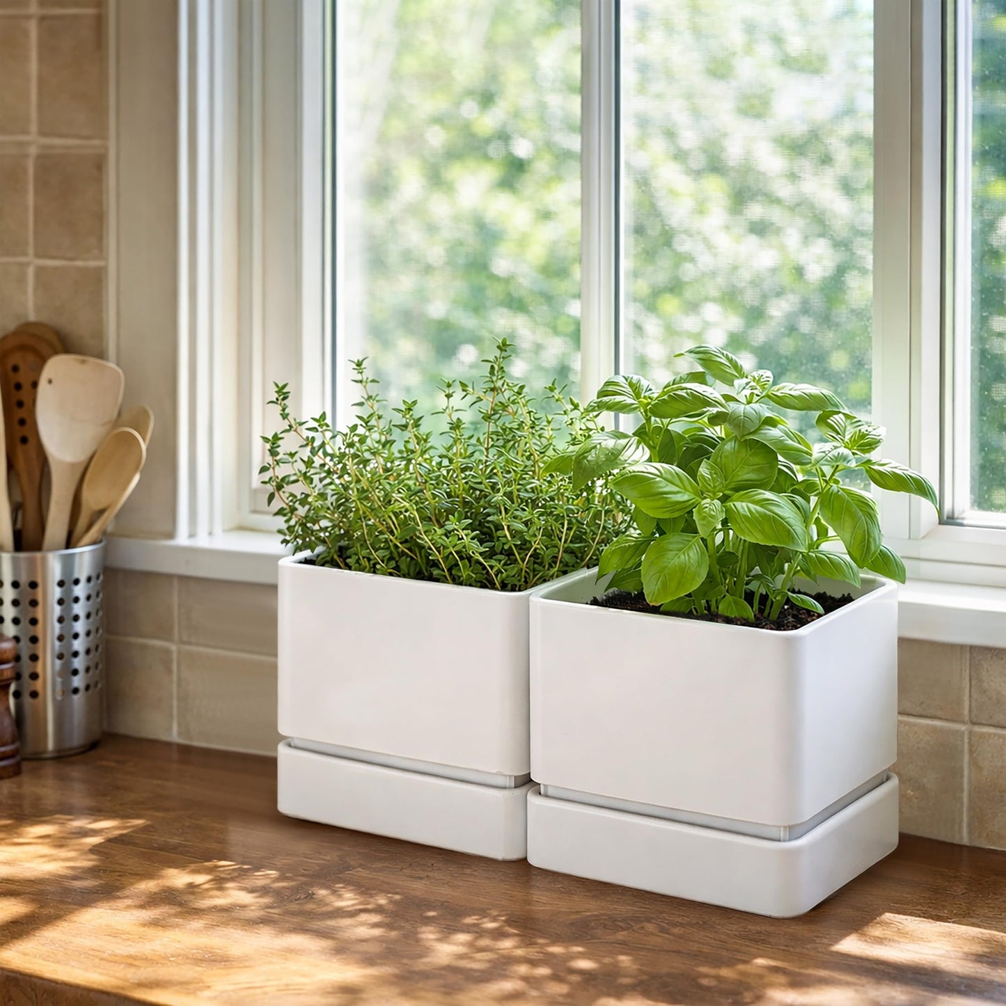 D'vine Dev 6 Inch Herb Planter Pot, Plastic Planter with Drainage Holes and Saucer, Modern Decorative Gardening Pot for Indoor Plants, Flowers, Herbs, Succulents, White, Set of 2, 76-Y-A2-2