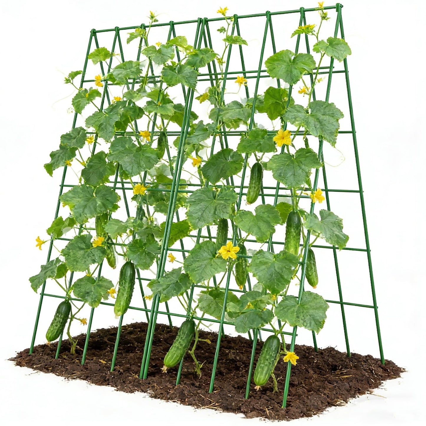 UrGROWA Cucumber Trellis 2 Pack, Foldable A-Frame Garden Trellis for Raised Bed Garden Grow Support with Plant Support Clips, Twist Ties, Plastic Ties, for Cucumber,Tomato, Climbing Plants and Flowers