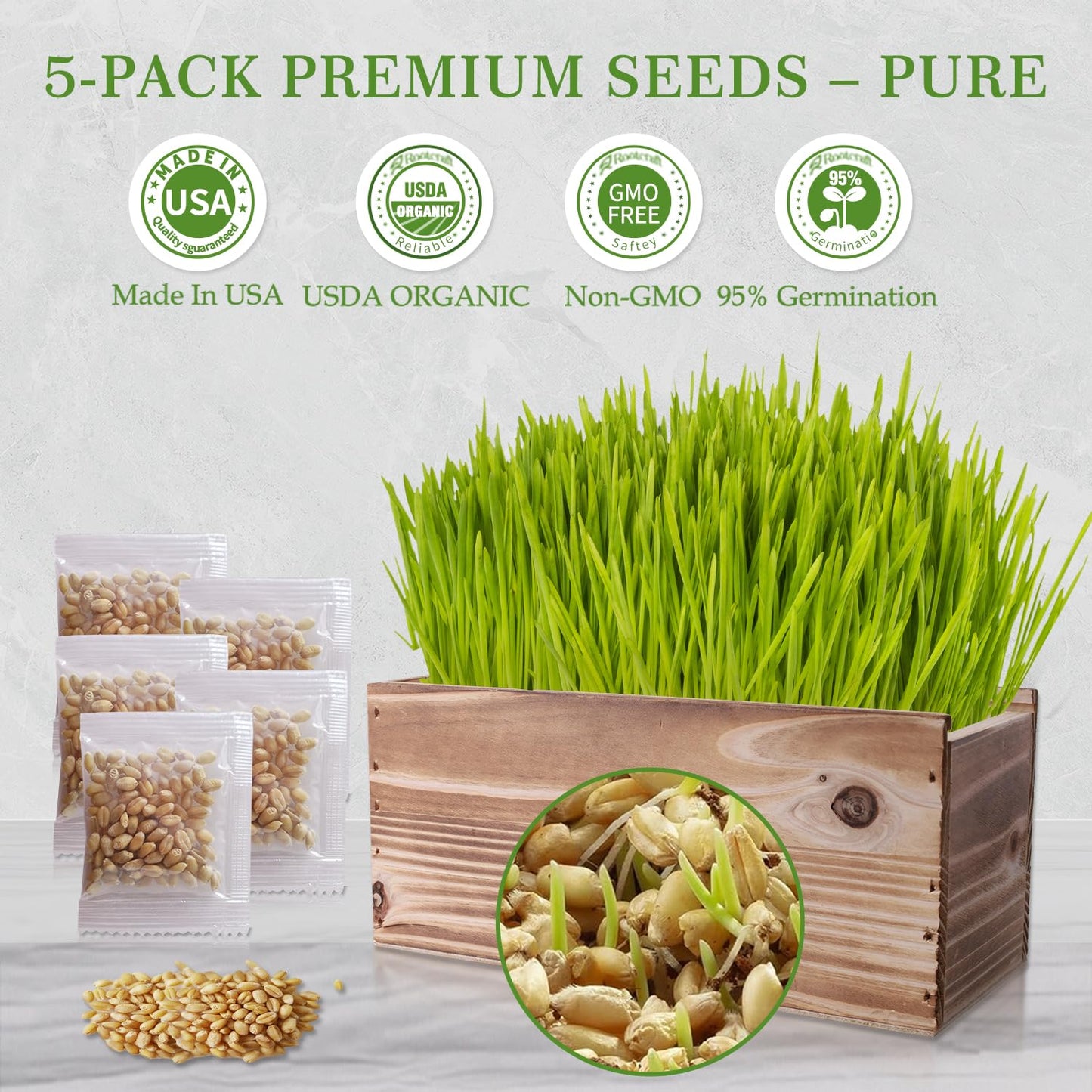 5-Pack Cat Grass Kit for Indoor Cats with Wood Planter, Grow Organic Non-GMO Wheat Grass in 4-7 Days, Aids Digestion & Hairball Control, Ideal Birthday Gift for Cat Lovers