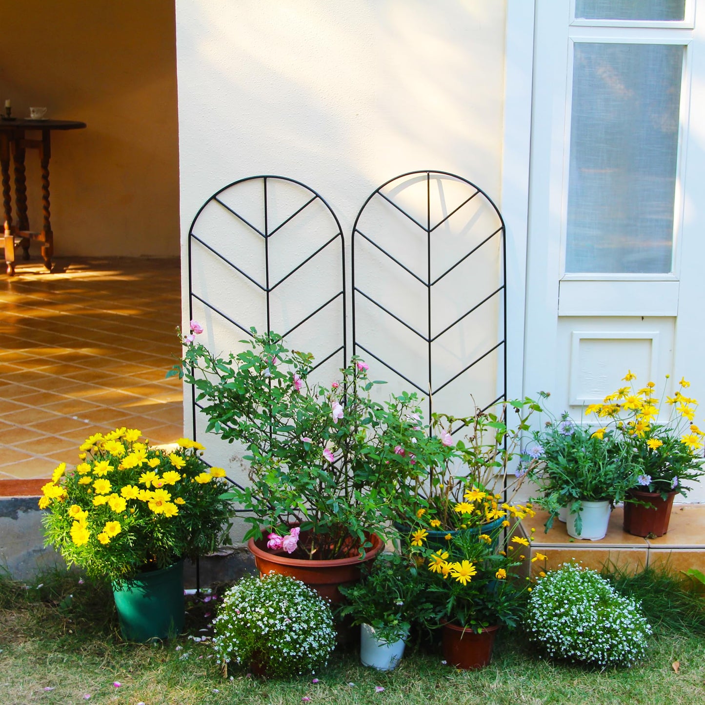 SCENDOR 2 Pack Black Metal Trellis for Climbing Plants - 45" H x 15.9" W Garden Trellis for Roses, Vegetables, Flowers, Lawn, Backyard