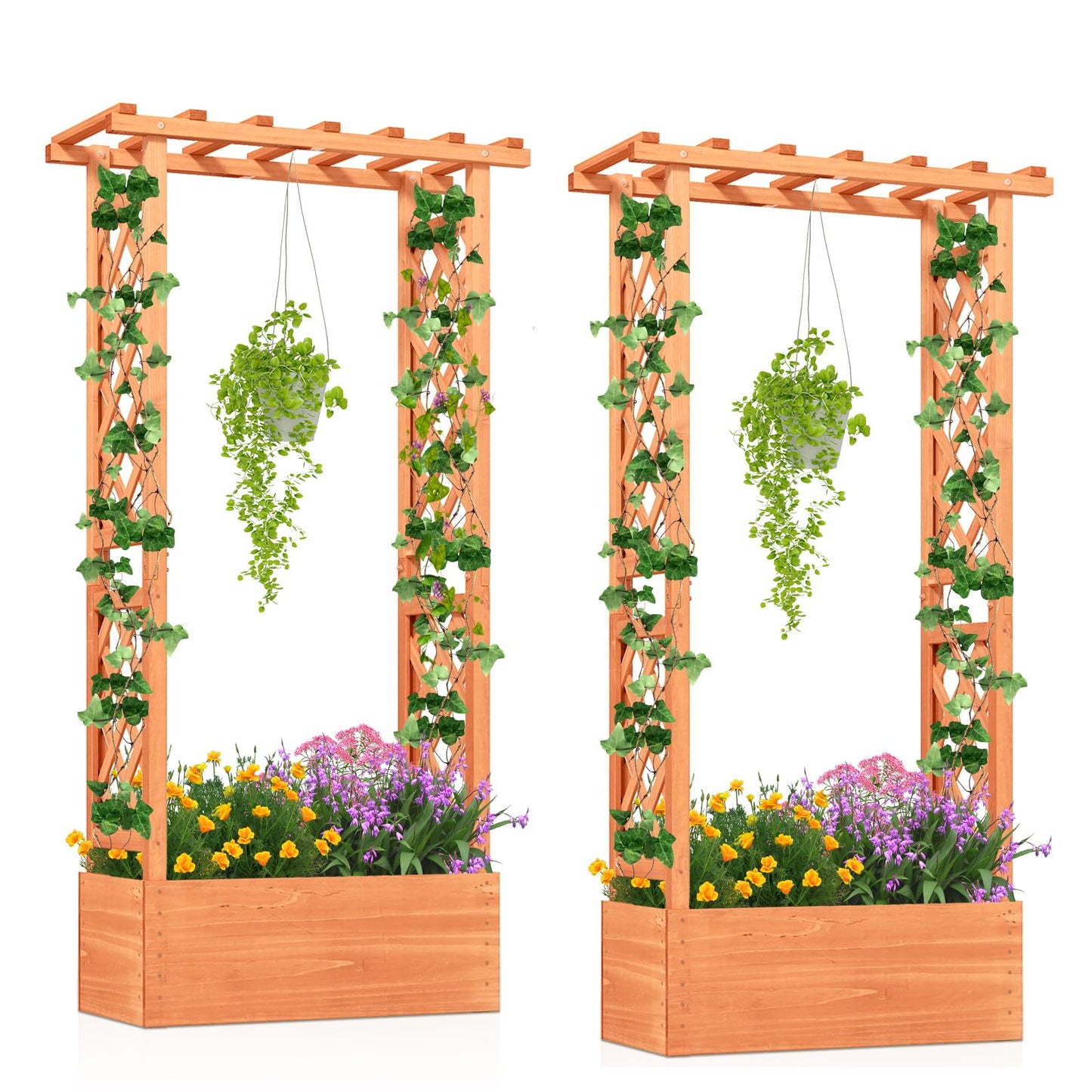 LDAILY Raised Garden Bed with Trellis, Above Ground Garden Bed with Hanging Roof, Side Trellis, & Drainage Holes, Planter Box for Outdoor Climbing Plants Vines Flowers (2, 31" L x 14" W x 60" H)