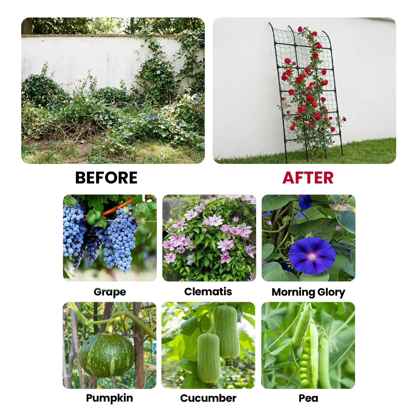 popsea 7.2ft Leaning Garden Trellis, No-Drill Lean-to Design for Climbing Plants | PE-Coated Galvanized Steel Plant Support for Flowers & Vegetables, Rust-Proof & Space-Saving Vertical Gardening