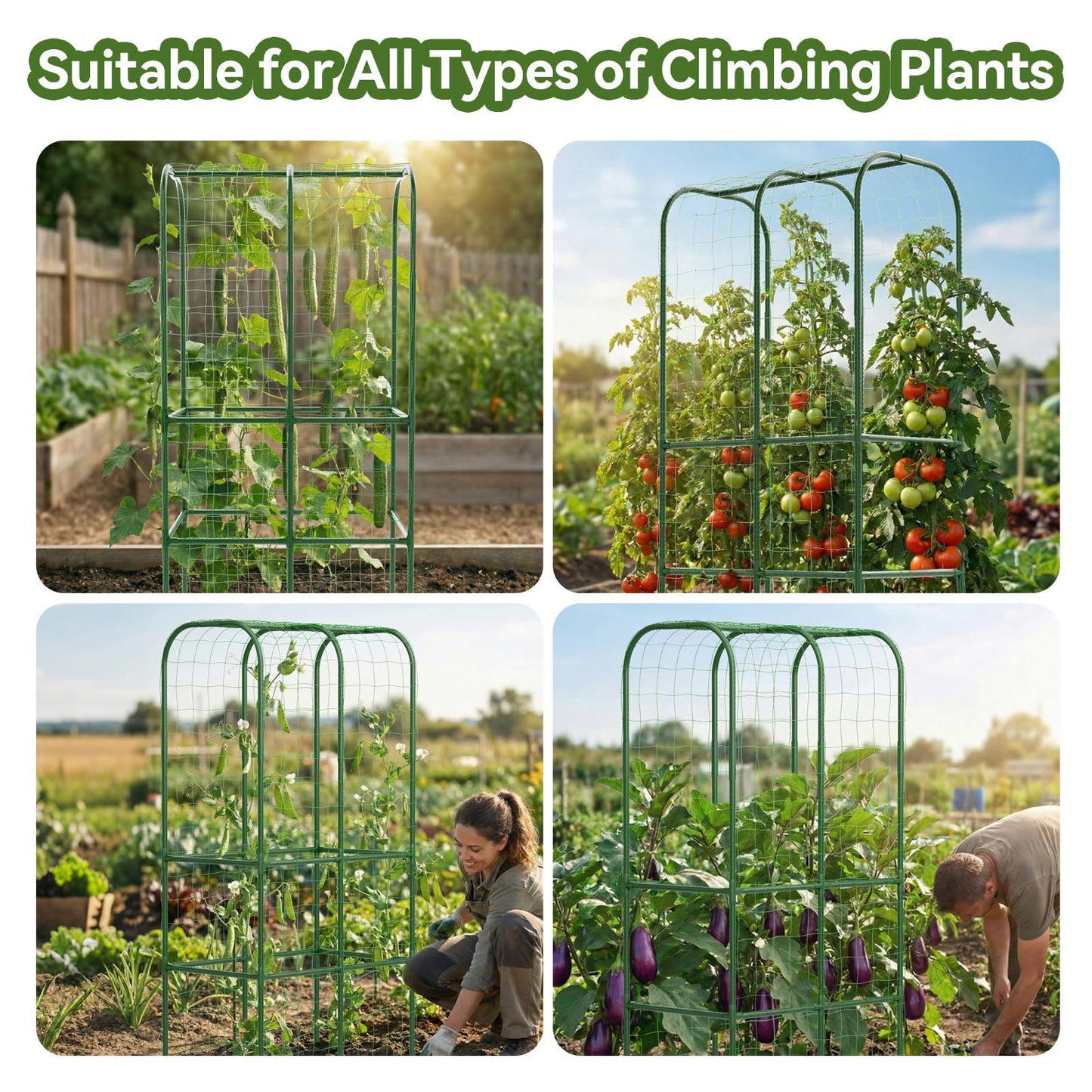 62" Tall Cucumber Trellis for Raised Bed, Garden Trellis for Climbing Plants Outdoor, U-Shape Metal Arch Vegetables Trellis Plant Support for Zucchini Squash Vines