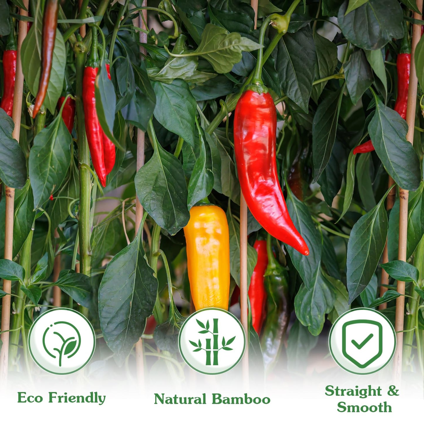 Plant Stakes,25Pcs Bamboo Stakes,4 FT Natural Bamboo Plant Support Stakes,Bamboo Stakes for Indoor and Outdoor Plants Tomatoes Beans Flowers Potted Plants Climbing Support