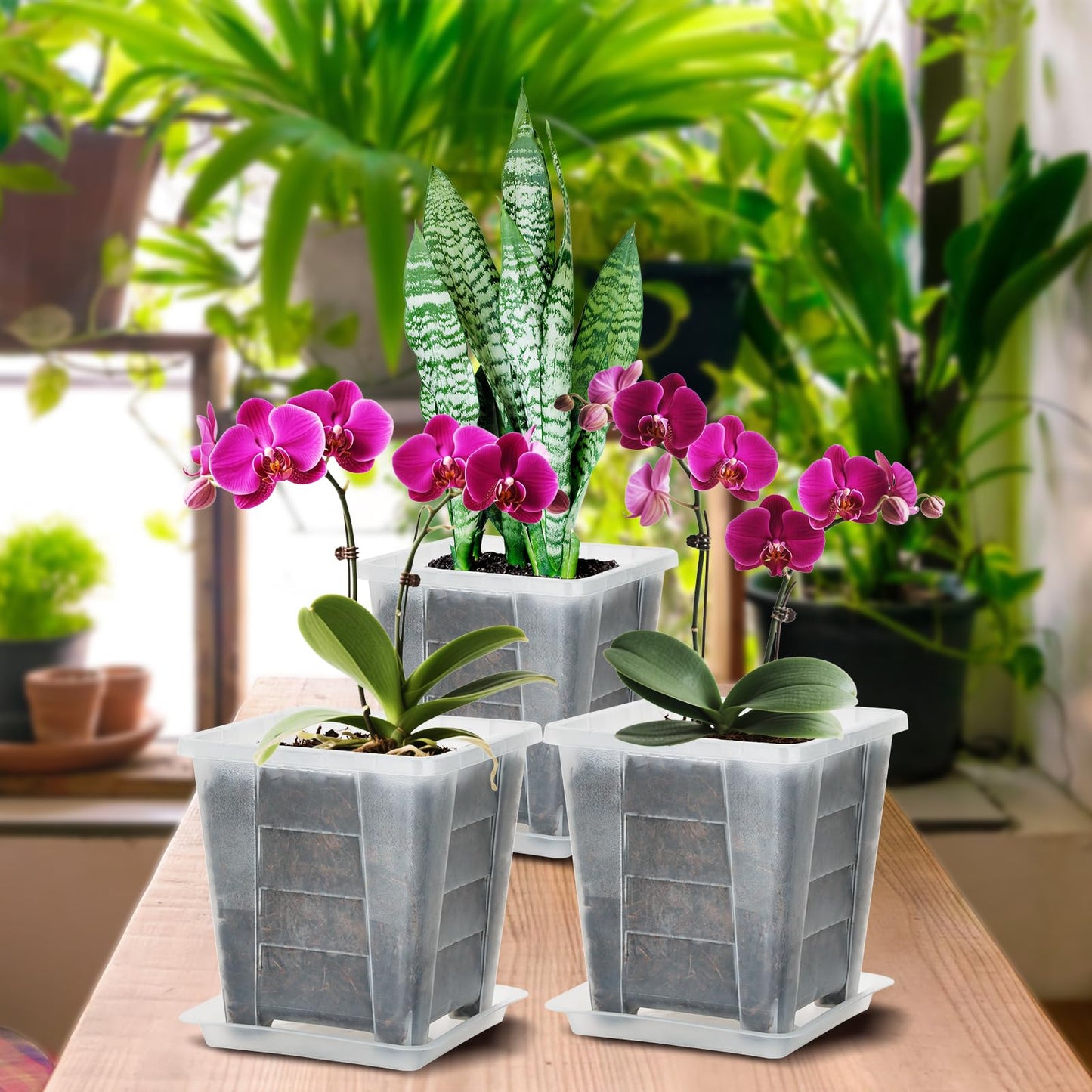 KIMERSE Square Orchid Pot, Clear Flower Pot 6 Pack 7.5 Inch, Root Control Planting Pots with Tray, Plastic Plant Pot for Home Balcony Orchids, Water Moss, Spider Plants